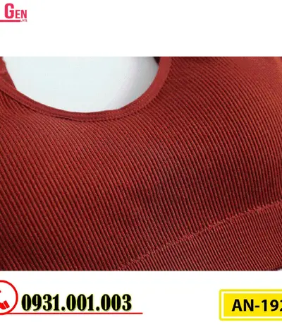 Áo Ngực Thể Thao Không Gọng Cao Cấp AN-192