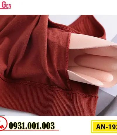 Áo Ngực Thể Thao Không Gọng Cao Cấp AN-192