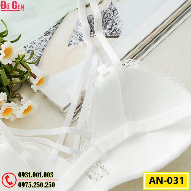 Áo Ngực Cao Cấp AN-031