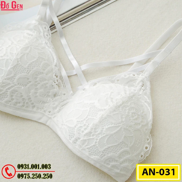 Áo Ngực Cao Cấp AN-031