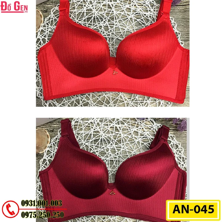 Áo Ngực Không Gọng Cao Cấp AN-045