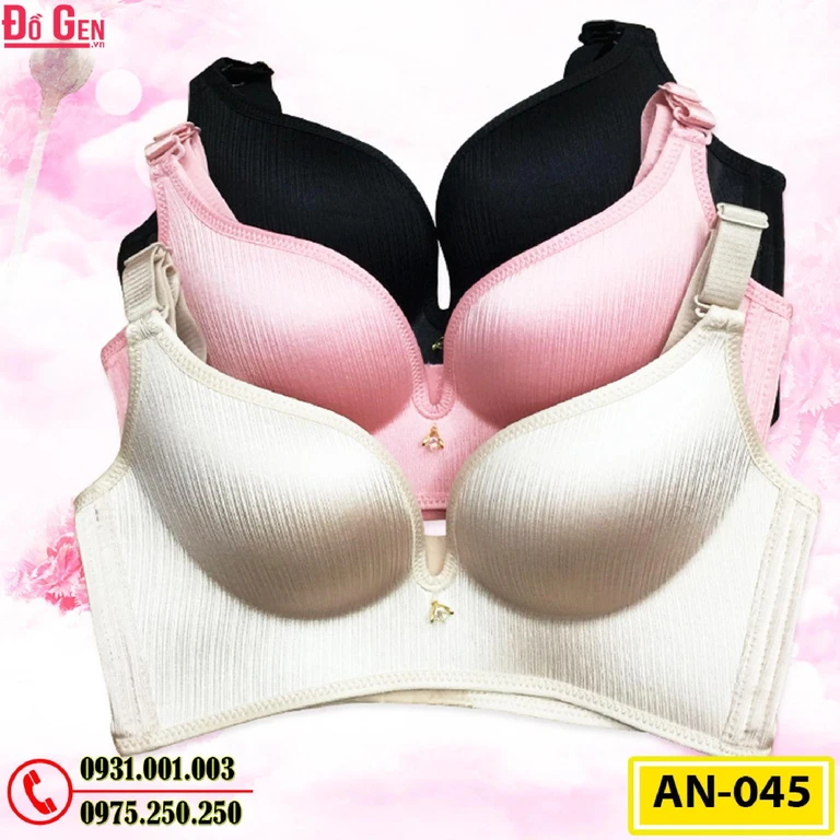Áo Ngực Không Gọng Cao Cấp AN-045