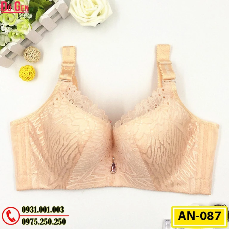 Áo Lót Ngực Cao Cấp Big Size AN-087
