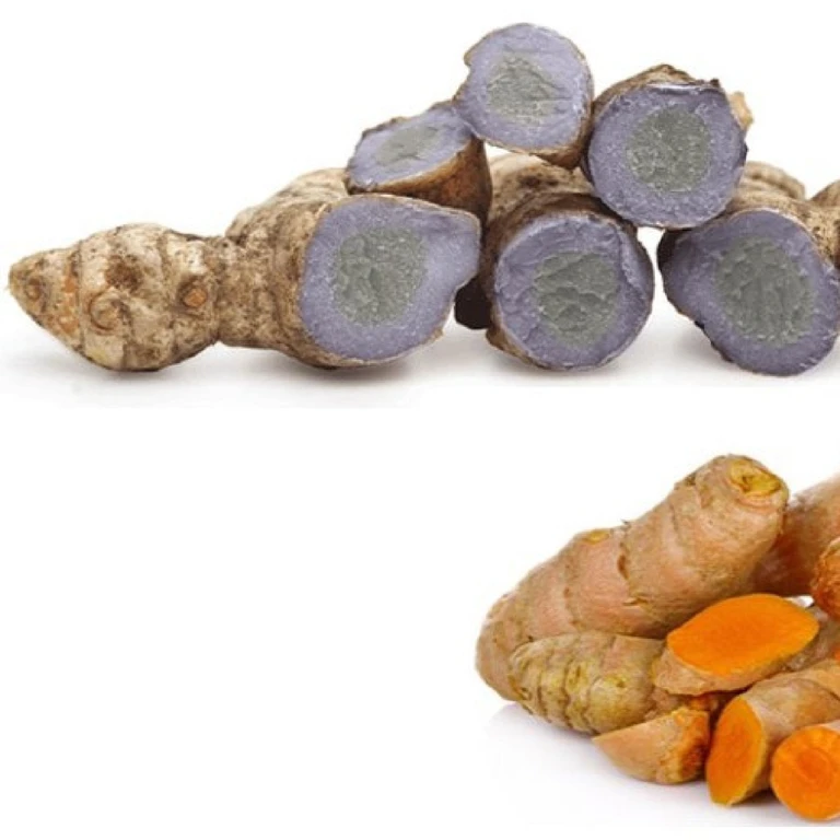 nghe den va nghe vang khac nhau nhu the nao? chuc nang cua moi loai ra sao?