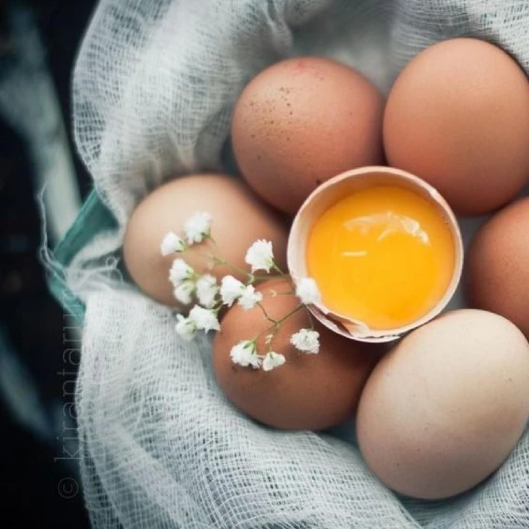 lòng đỏ trứng gà kết hợp với tinh bột nghệ